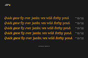 Golden Goose – Italic Infused Serif, a Serif Font by Unio Designs (Thumbnail 6 of 12)