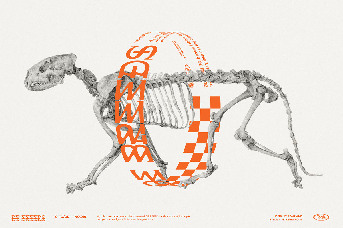 DE BREEDS, a Font by Tegh co. (Photo 2 of 15)