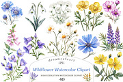 Wildflower Watercolor Clipart Bundle, an Illustration by DreamCafeArt (Thumbnail 1 of 5)