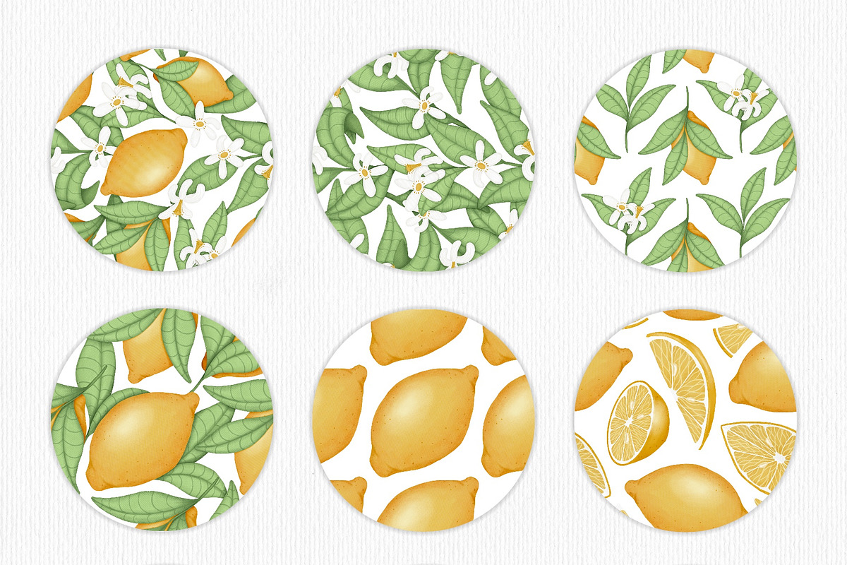 Lemon, a Decorative Illustration by Iryna Mel (Photo 7 of 7)