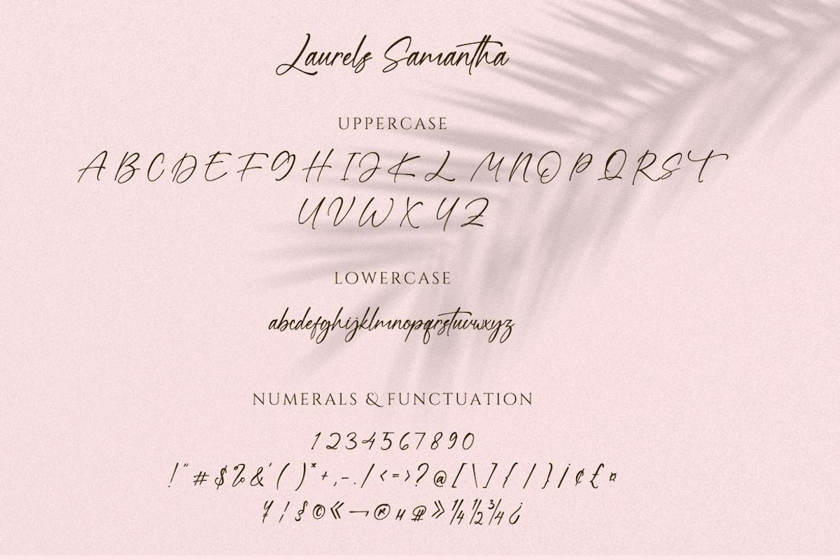 Laurels Samantha, a Handwritten Font by CreateBigSupply (Photo 9 of 10)