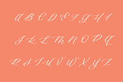 Bon Voyage, a Script Font by Great Lakes Lettering (Thumbnail 6 of 7)