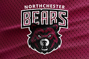 Bears logo, a Graphic by Varsity Logos (Thumbnail 1 of 2)