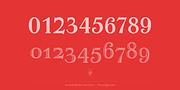 Aureata, a Serif Font by preussTYPE (Thumbnail 4 of 10)