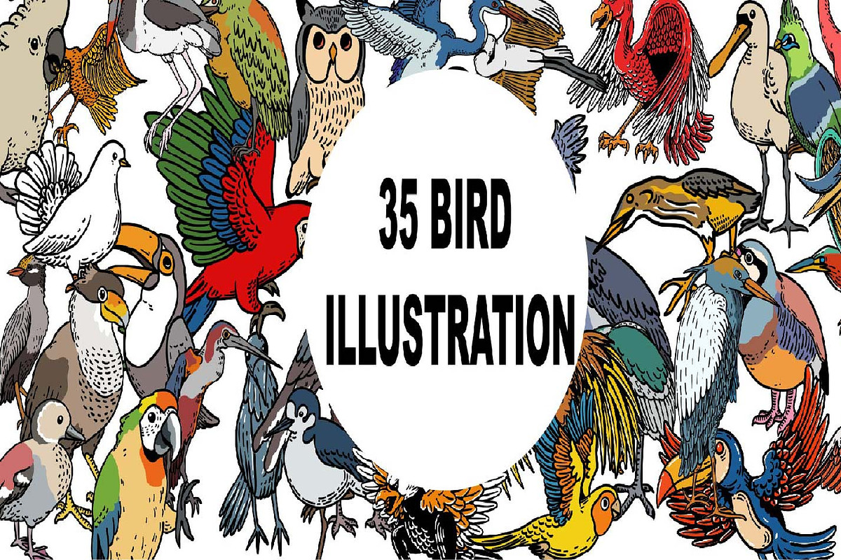 35 Bird Hand Drawing Illustration, an Illustration by Sani crunch (Photo 1 of 7)