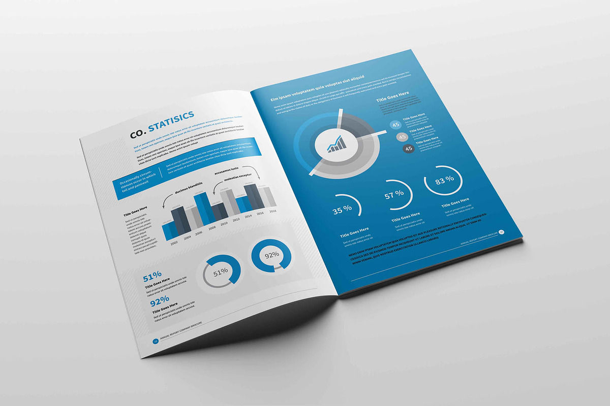 Annual Report Brochure, a Brochure Template by New Lines (Photo 5 of 12)