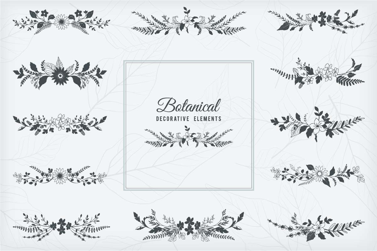 Botanical Decorative Elements, a Decorative Illustration by Solana (Photo 1 of 6)