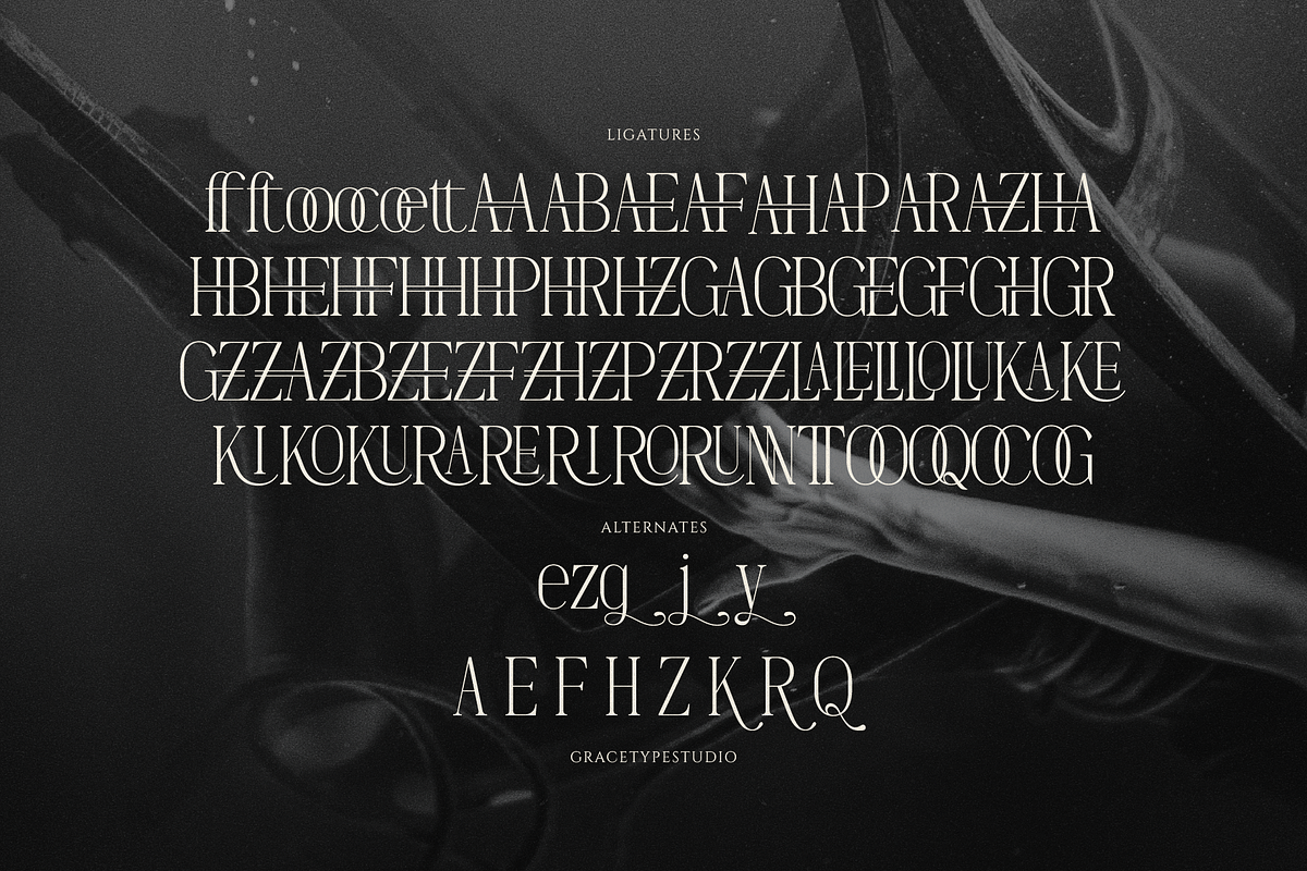 Dennya | Display Serif Font, a Serif Font by gracetype_studio (Photo 12 of 12)