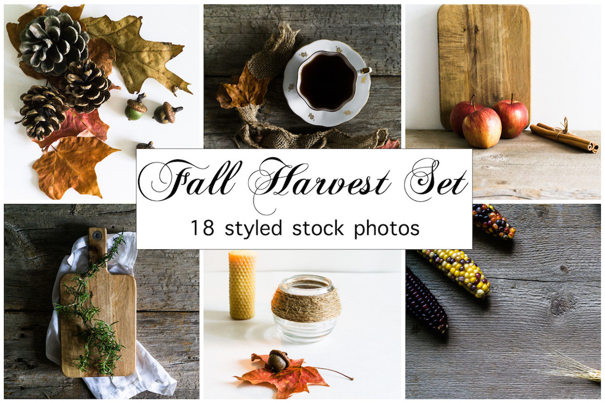 Fall Photo Bundle, a Holiday Photo by Britt Leah (Photo 1 of 3)