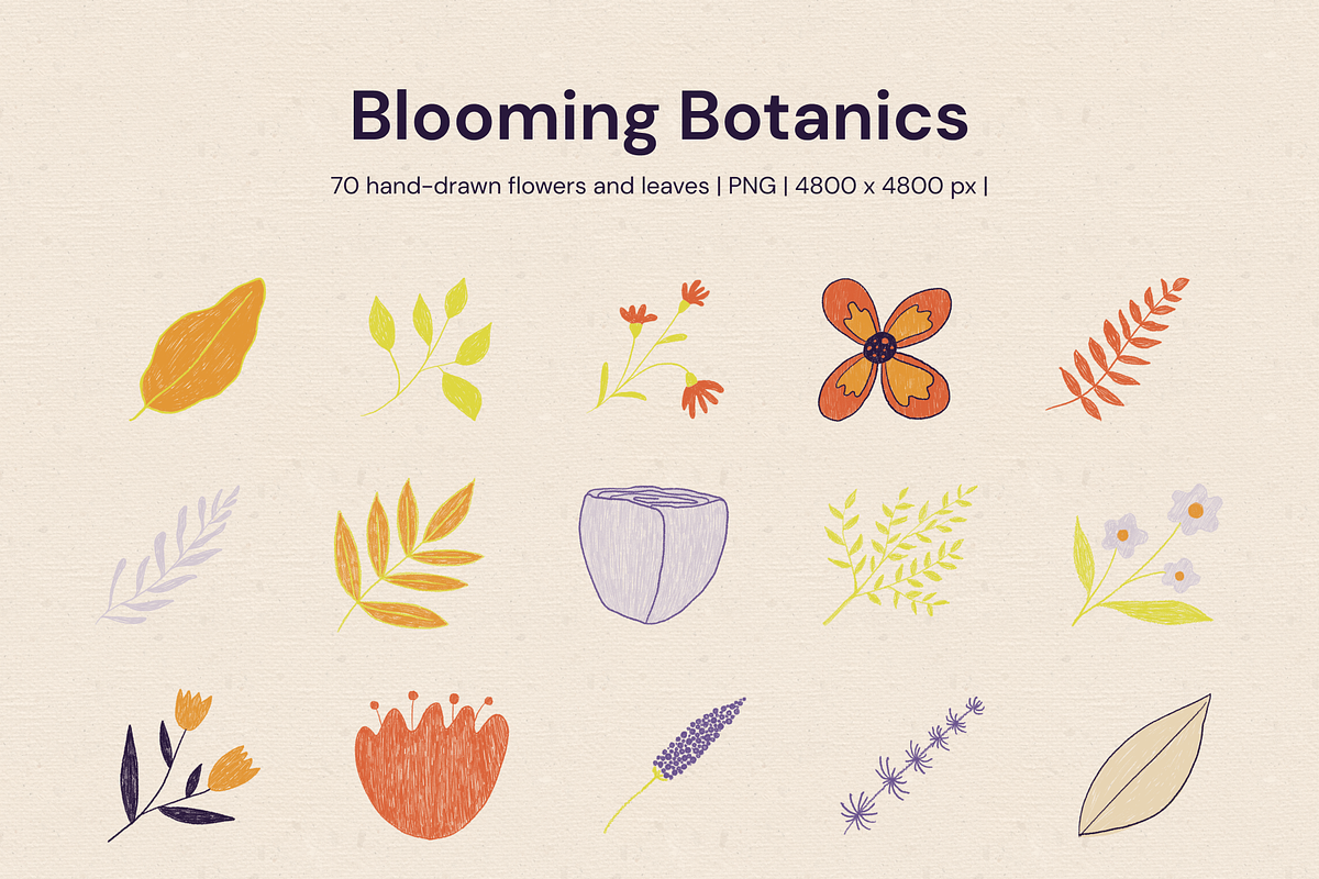 Blooming Botanics: flower graphics, a Decorative Illustration by Littlefield Design (Photo 8 of 8)