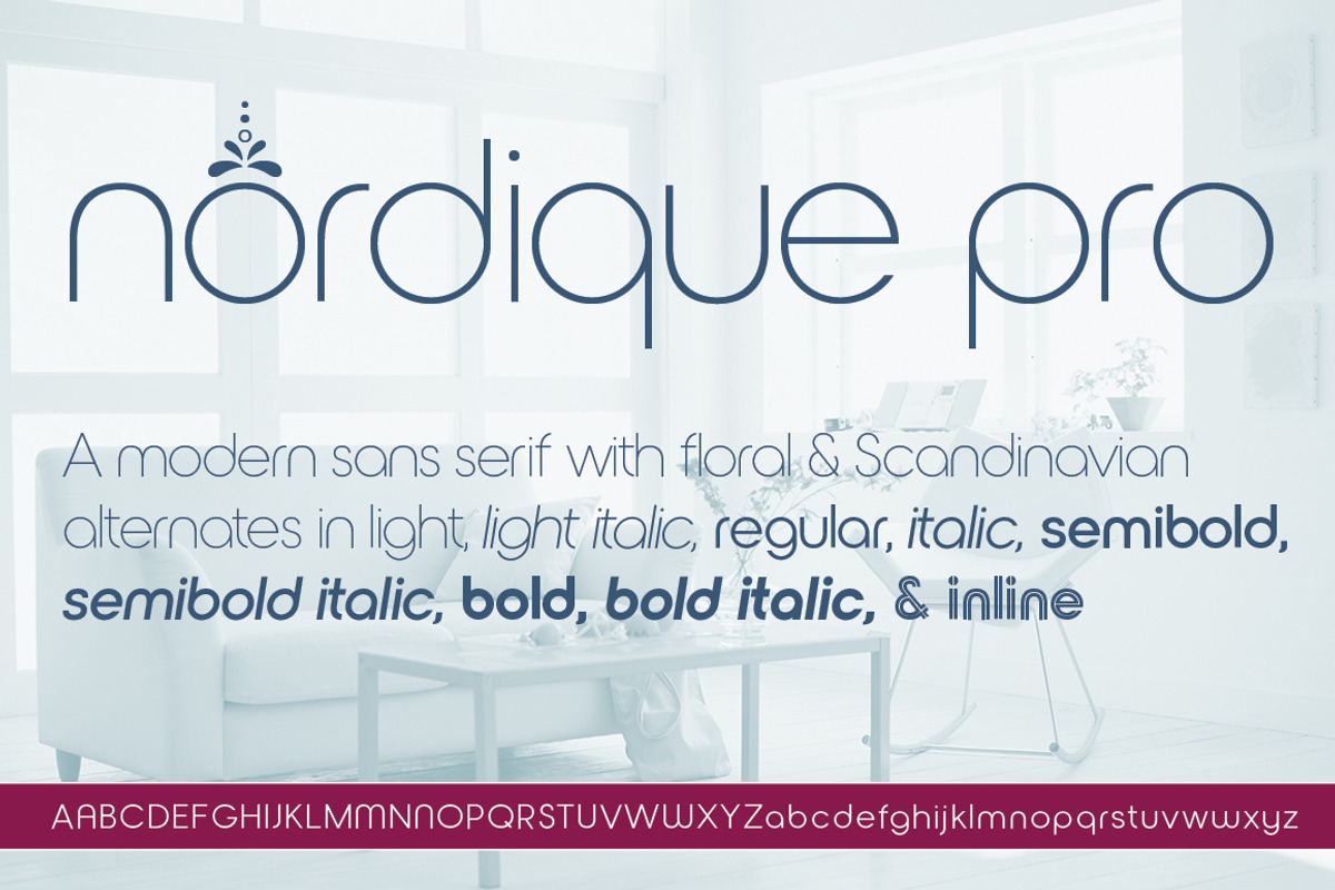 Nordique Pro Full Collection, a Sans Serif Font by Leksen Design (Photo 1 of 3)