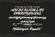 Authentic Calisttera Script Font LS, a Script Font by GranzCreative (Thumbnail 10 of 12)