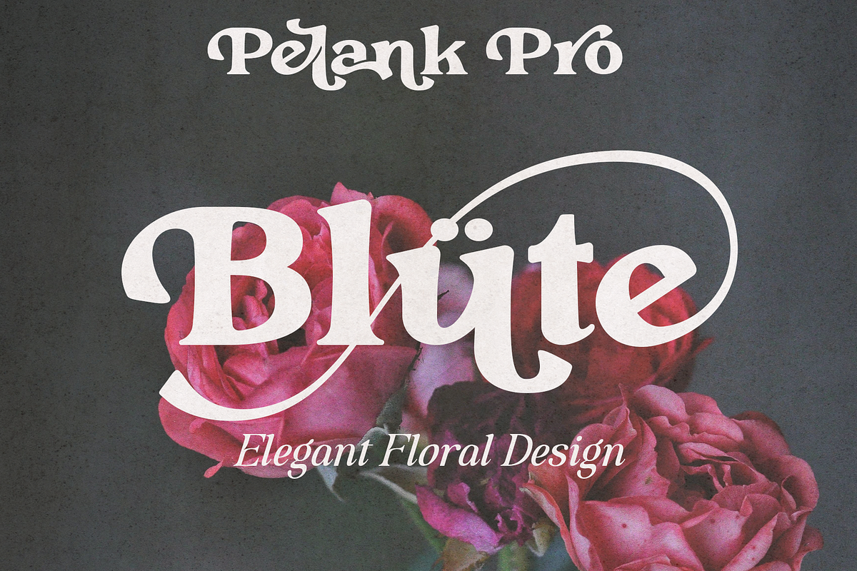 Pelank – Serif Font, a Serif Font by NDNL Studio (Photo 3 of 11)