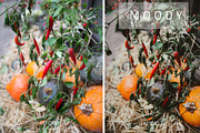 Desktop Lightroom Presets CRANBERRY, a Plug-in Add-On by Victoria Bee Presets (Thumbnail 25 of 29)