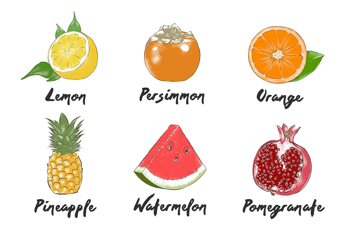 Set of 42 organic food sketches, a Food Illustration by Akimo Mia (Photo 7 of 8)