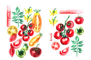 Watercolor vegetables. Tomato., a Food Illustration by katya.bogina (Thumbnail 2 of 4)