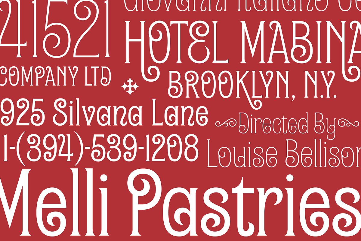 Turbinio - Variable Italian Font, a Sans Serif Font by The Type Fella (Photo 7 of 10)