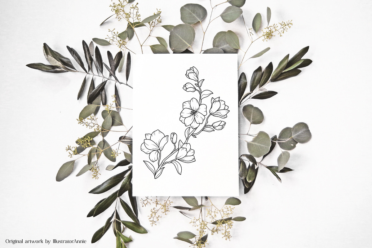 Magnolia Flower Vector Illustration, an Illustration by IllustratorAnnie (Photo 5 of 7)