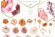 FLORISTA Huge Floral Collection, an Illustration by Cat In Colour (Thumbnail 9 of 14)