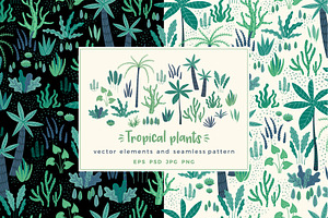 Tropical Plants. Elements & Pattern