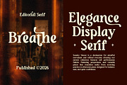 Sunday Monare, a Serif Font by Megatype (Thumbnail 5 of 12)