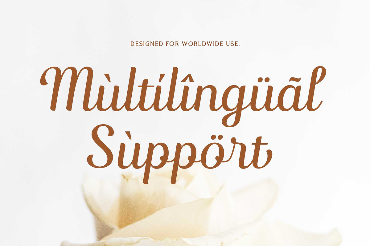 Nadlines - Script Family, a Script Font by Novitype (Photo 13 of 13)