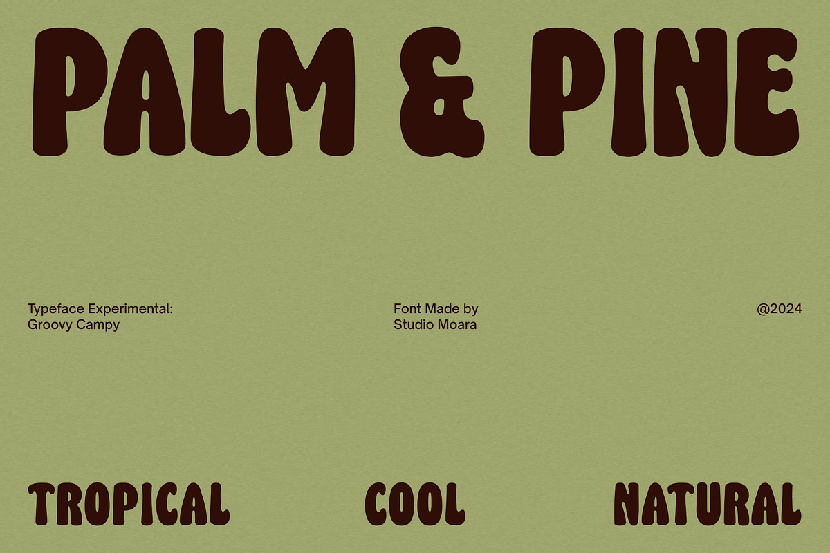 Groovy Campy - Bold Retro Fonts, a Font by Studio Moara (Photo 4 of 8)