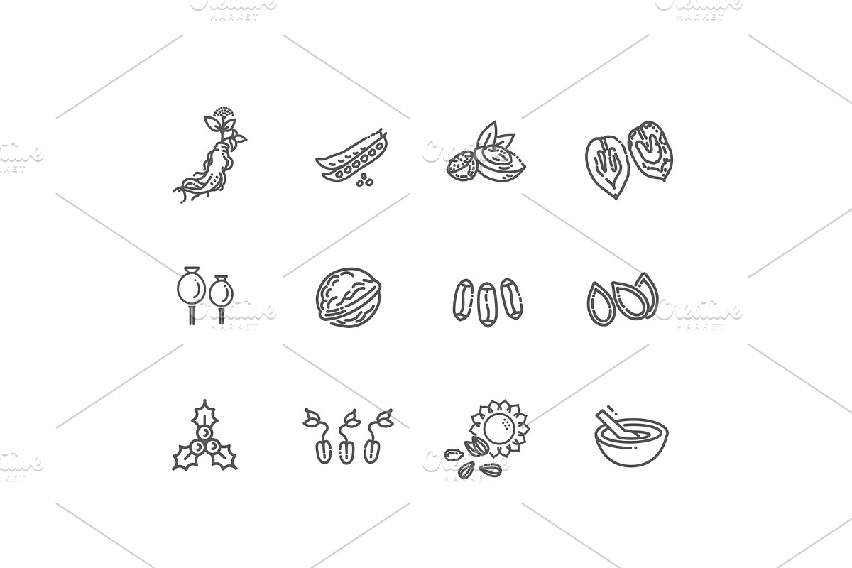 Plant Seed and Nuts vector icon set, an Object Illustration by Tettygreen (Photo 2 of 3)