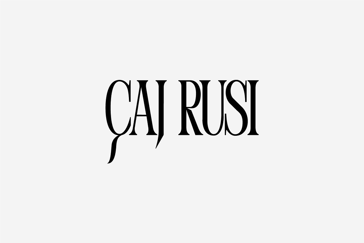 Perandory - Display Type, a Serif Font by Kulturë Type (Photo 8 of 9)