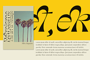 Molex Shoora | Reverse Contrast Font, a Handwritten Font by Jolicia Type (Thumbnail 10 of 11)