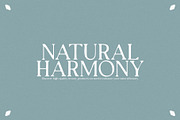 hawk sight - vintage serif, a Serif Font by Mikhail Fukurou (Thumbnail 2 of 8)