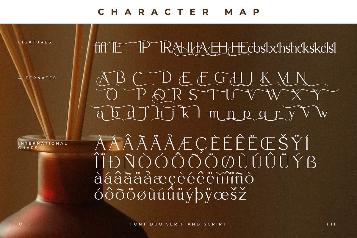 Fanttor Howery Font Duo, a Serif Font by Storytype Studio (Photo 12 of 15)