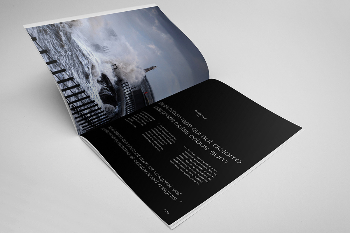 Annual Report & Brochure Template, a Brochure Template by Andre28 (Photo 2 of 5)