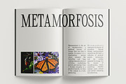 CS Bozhena – Contemporary Font, a Serif Font by Craft Supply Co. (Thumbnail 3 of 8)