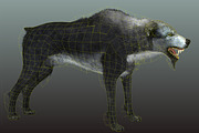 Wolf, an Animal 3D Model by Game-Ready Studio (Thumbnail 3 of 5)