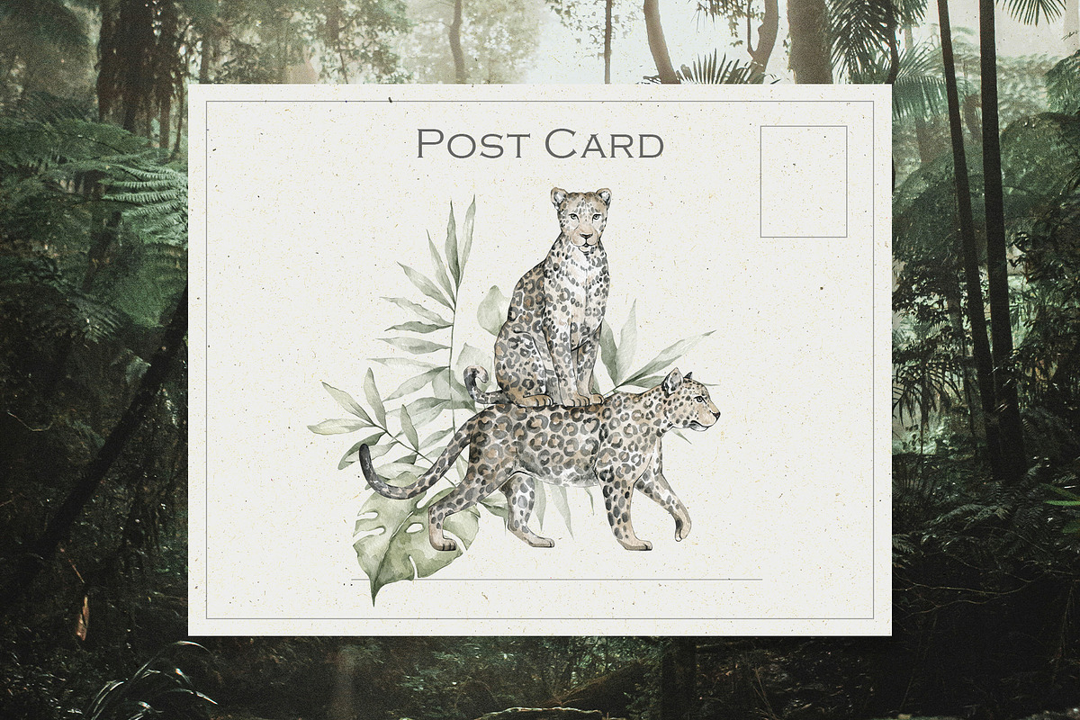 Tropical Jungle Watercolor Animals, an Animal Illustration by Kreker Kate (Photo 2 of 14)