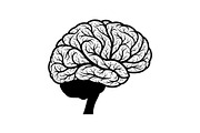 Brain Tree Knowledge Design Bundle, an Illustration by Gaye Art (Thumbnail 18 of 31)