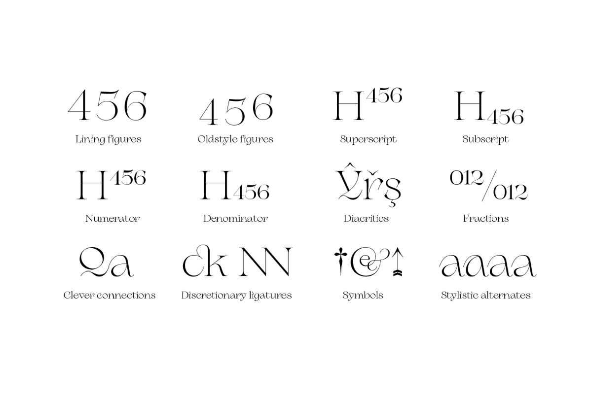 Erotique - 10 fonts, a Serif Font by Zetafonts (Photo 14 of 14)