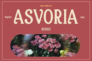 Asvoria Rough