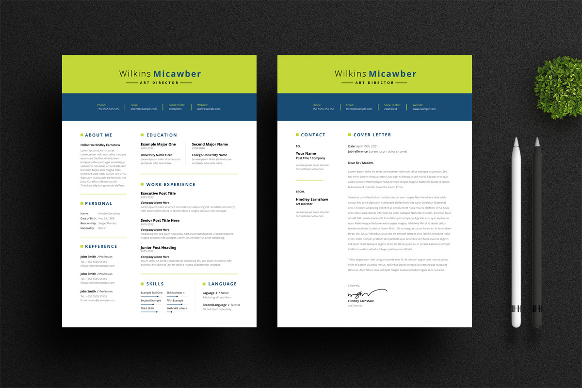 Green Navy Blue Resume / CV preview 4