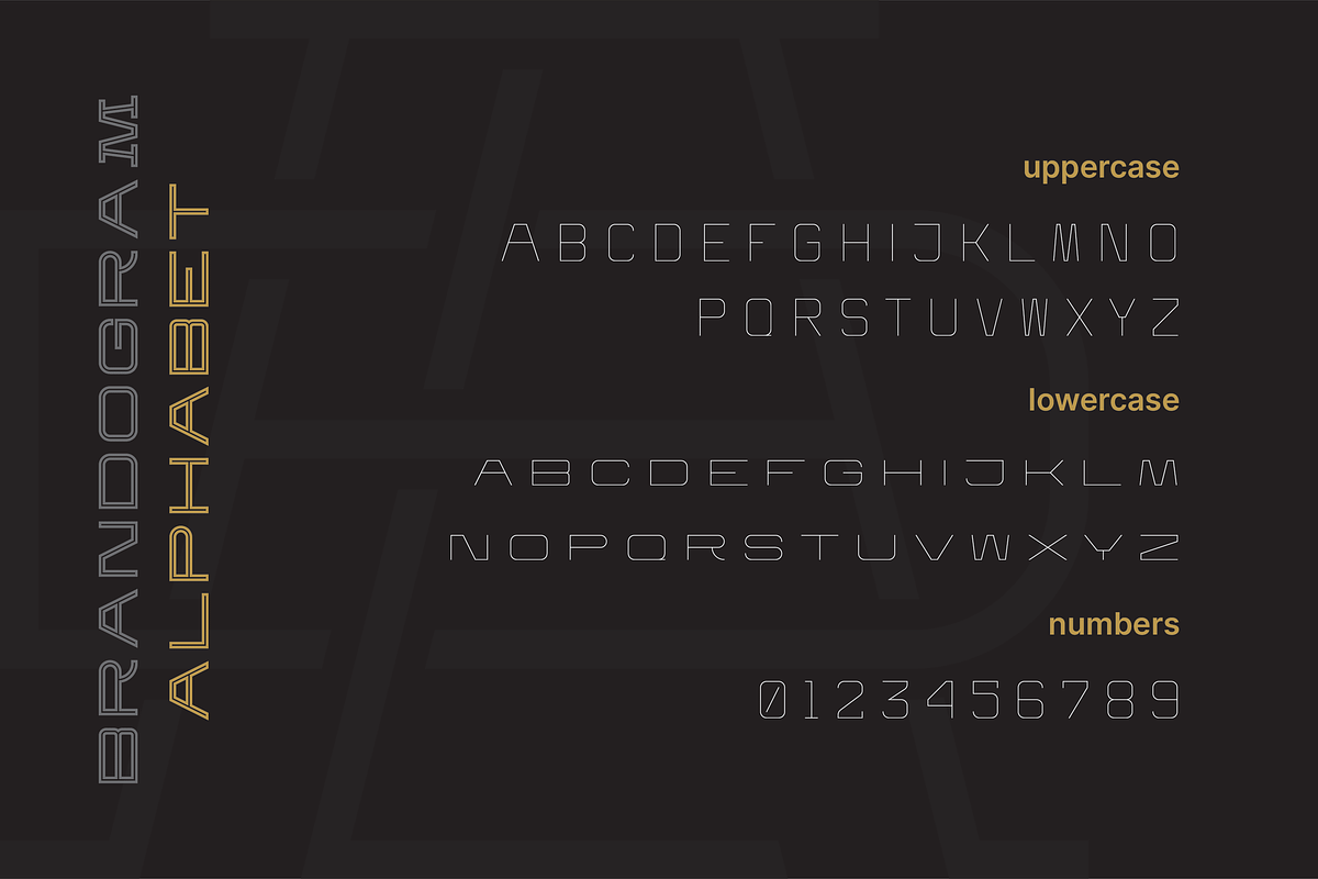 Brandogram Thin - Monogram Typeface, a Slab Serif Font by Bogdan Casota (Photo 2 of 6)