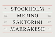 Amnesist | 12 Fonts, a Serif Font by Skinny Type (Thumbnail 7 of 12)
