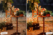 10 Bohemian Love Lightroom Presets, a Preset Add-On by LucaTheme (Thumbnail 9 of 9)
