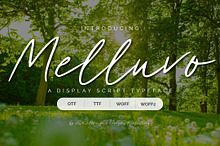 Melluvo | A Script Handwriting Font