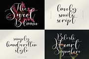 Elegant Font Bundle, a Font by Typoraith Co (Thumbnail 7 of 13)