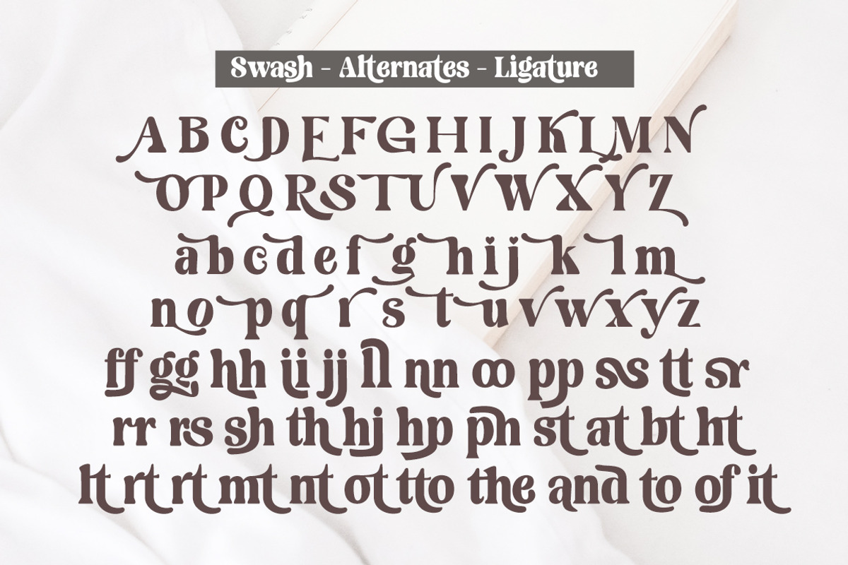 Mistoni, a Serif Font by Gatype (Photo 10 of 10)