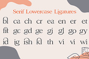Benefits | Stylish Serif Typeface, a Serif Font by MchCrafter (Thumbnail 5 of 18)