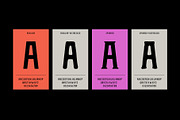 Vicente Font Family, a Font by Stable (Thumbnail 2 of 10)