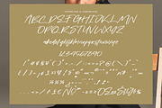 Tropicalist, a Handwritten Font by operatype.co (Thumbnail 13 of 15)