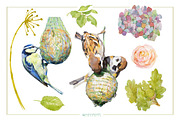 BIRDS FEEDING - Clipart set, an Illustration by watercolorwild.graphics (Thumbnail 3 of 5)